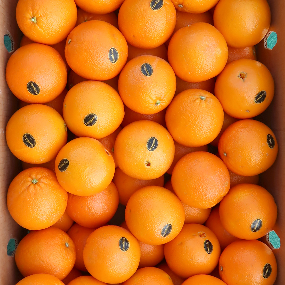 실속형 못난이 썬키스트 고당도 오렌지 대과